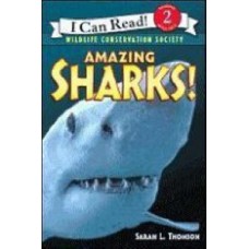 AMAZING SHARKS