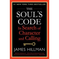 THE SOULS CODE IN SEARCH OF CHARACTER