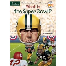 WHAT IS THE SUPER BOWL