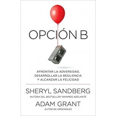 OPCION B