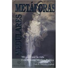 MIS PASO POR LA VIDA METAFORA MEDULARES