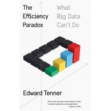 THE EFFICIENCY PARADO WHAT BIG DATA CANT