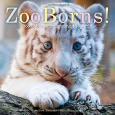 ZOO BORNS