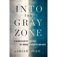 INTO THE GRAY ZONE
