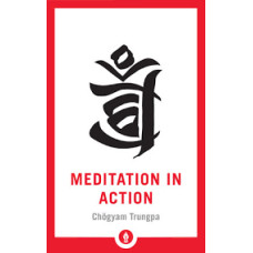 MEDITATION IN ACTION